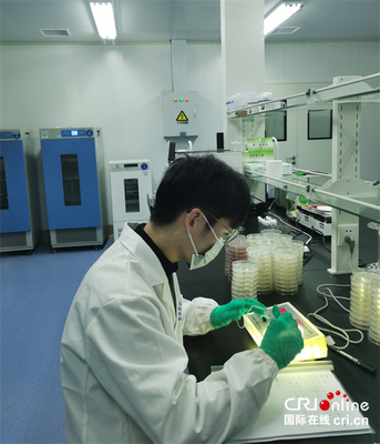 湖北首個黑茶產品質量檢測中心在赤壁揭牌，推動茶產業高質量發展