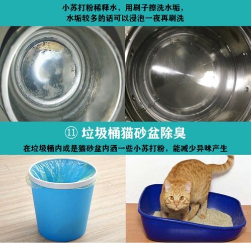 一物多用，清潔無憂——小蘇打粉的全方位清潔指南